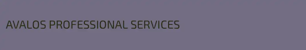 AVALOS PROFESSIONAL SERVICES